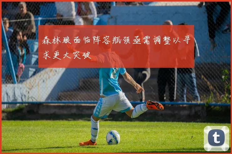 森林狼面临阵容瓶颈亟需调整以寻求更大突破