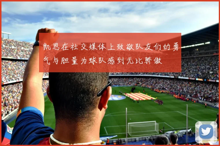 凯恩在社交媒体上致敬队友们的勇气与胆量为球队感到无比骄傲