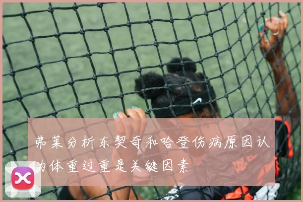 弗莱分析东契奇和哈登伤病原因认为体重过重是关键因素