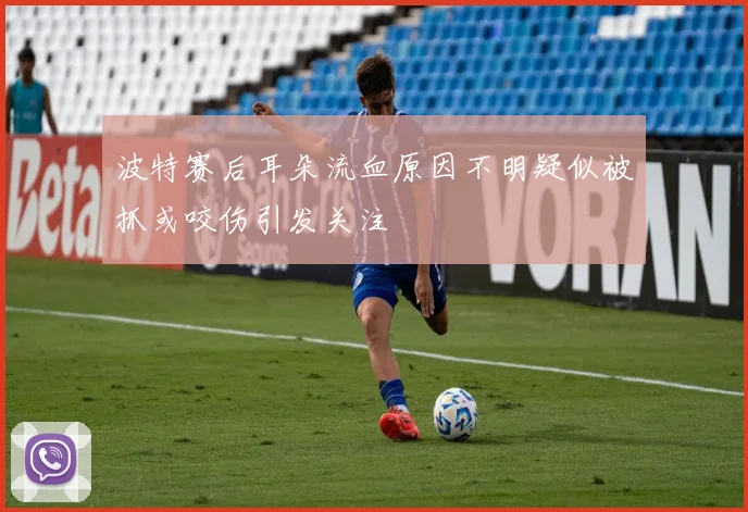 波特赛后耳朵流血原因不明疑似被抓或咬伤引发关注